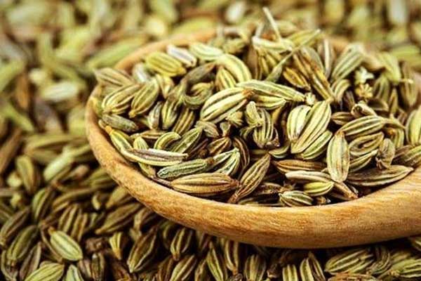 طلای سبز خراسان رضوی یکه‌ تاز در کیفیت و کمیت