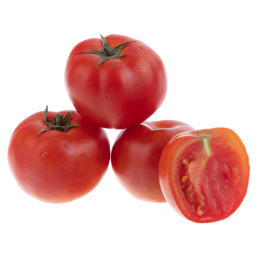 گوجه فرنگی بوته ای متین بلوط
